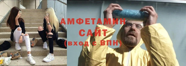 индика Богородицк